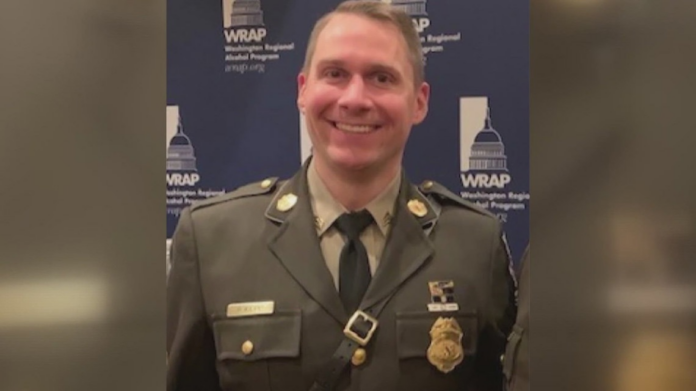 wp header logo 178.png