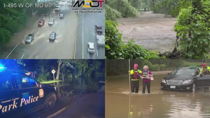 wp header logo 317.png