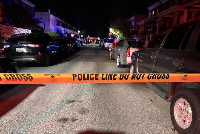 wp header logo 133.png