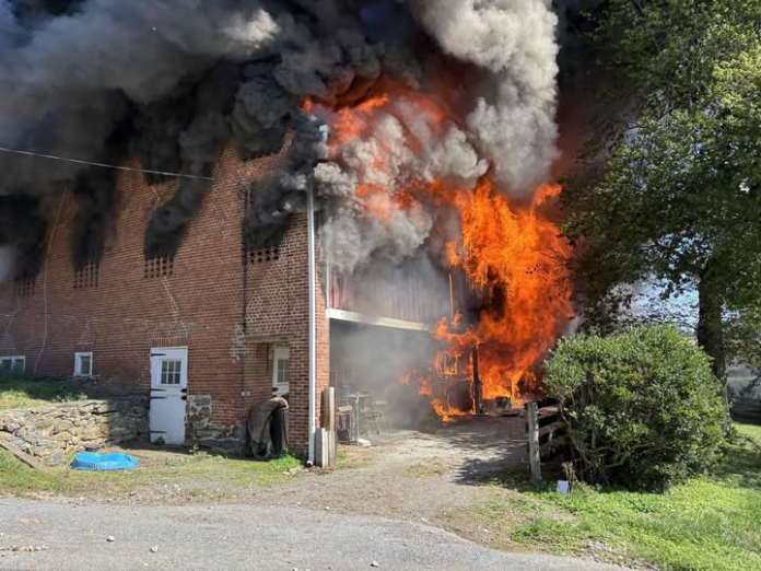 wp header logo 394.png