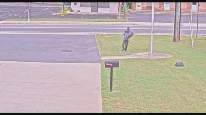 wp header logo 83.png