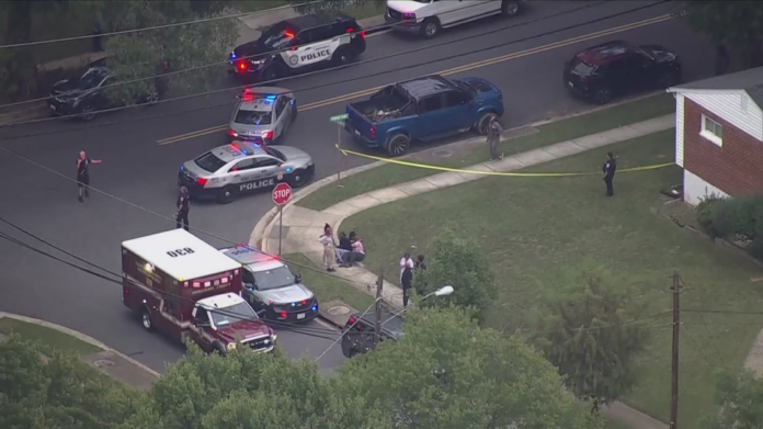 wp header logo 29.png