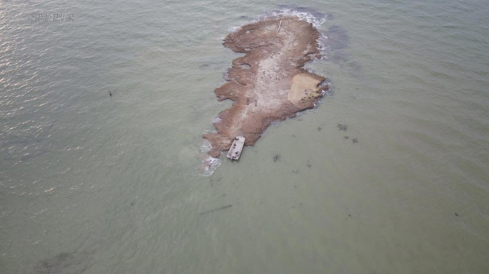 wp header logo 216.png