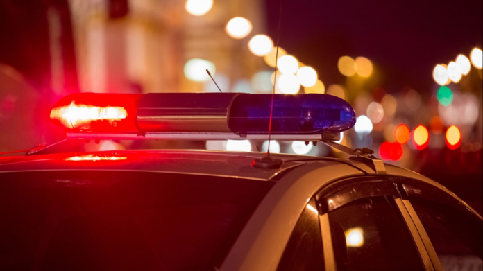 wp header logo 270.png