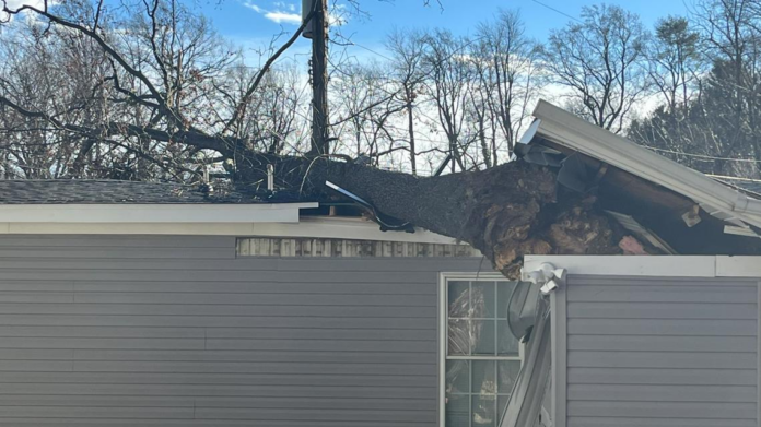 wp header logo 409.png