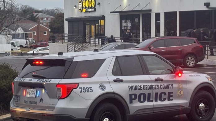 wp header logo 48.png